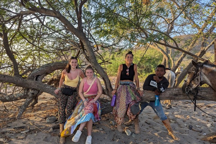 Four people sitting on a log under a tree, with a horse nearby on a sunny day.