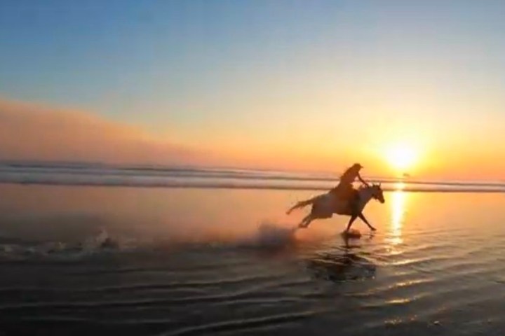Silhouette of a person riding a horse on a beach at sunrise or sunset.