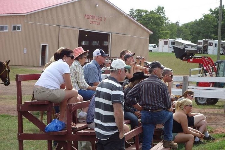 People sitting on bleachers at an outdoor event near a building labeled 'Agriplex Cattle'.