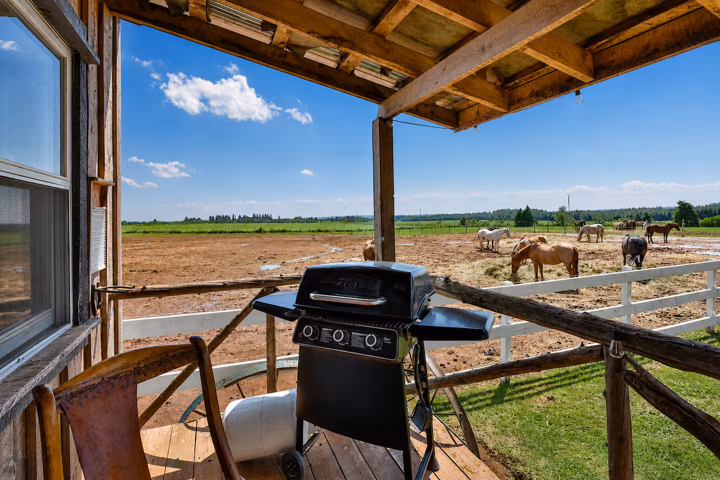 A grill on a porch overlooking a field with grazing horses.